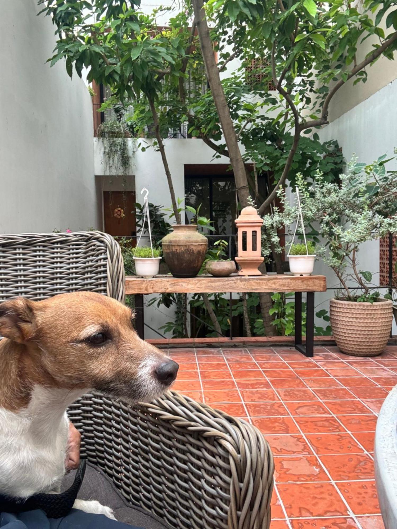 Notre Maison 8 Saigon Close Landmark 81 Building Ho Chi Minh-Byen Eksteriør billede